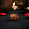 15 Mukhi Rudraksha Original (Pandrah Mukhi Rudraksha)