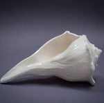 Dakshinavarti Shankha – Sacred Natural Conch for Prosperity &amp; Divine Blessings